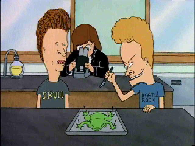 MTV`S BEAVIS AND BUTT-HEAD IN VIRTUAL STUPIDITY