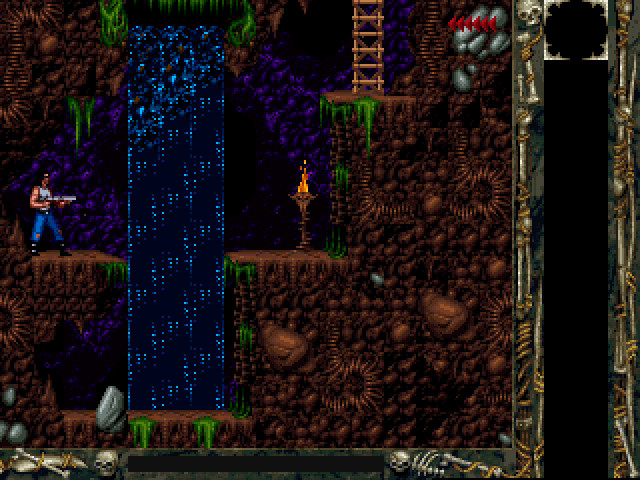 BLACKTHORNE