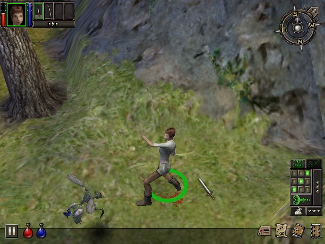 DUNGEON SIEGE