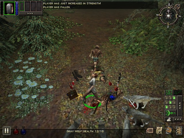 DUNGEON SIEGE