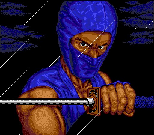 NINJA GAIDEN