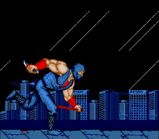 NINJA GAIDEN