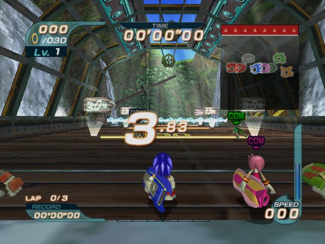 SONIC RIDERS