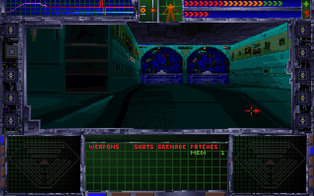 SYSTEM SHOCK