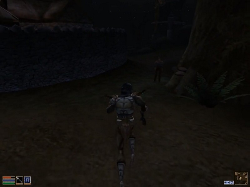 THE ELDER SCROLLS III: MORROWIND