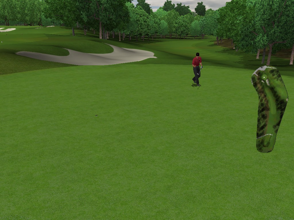 TIGER WOODS PGA TOUR 2004