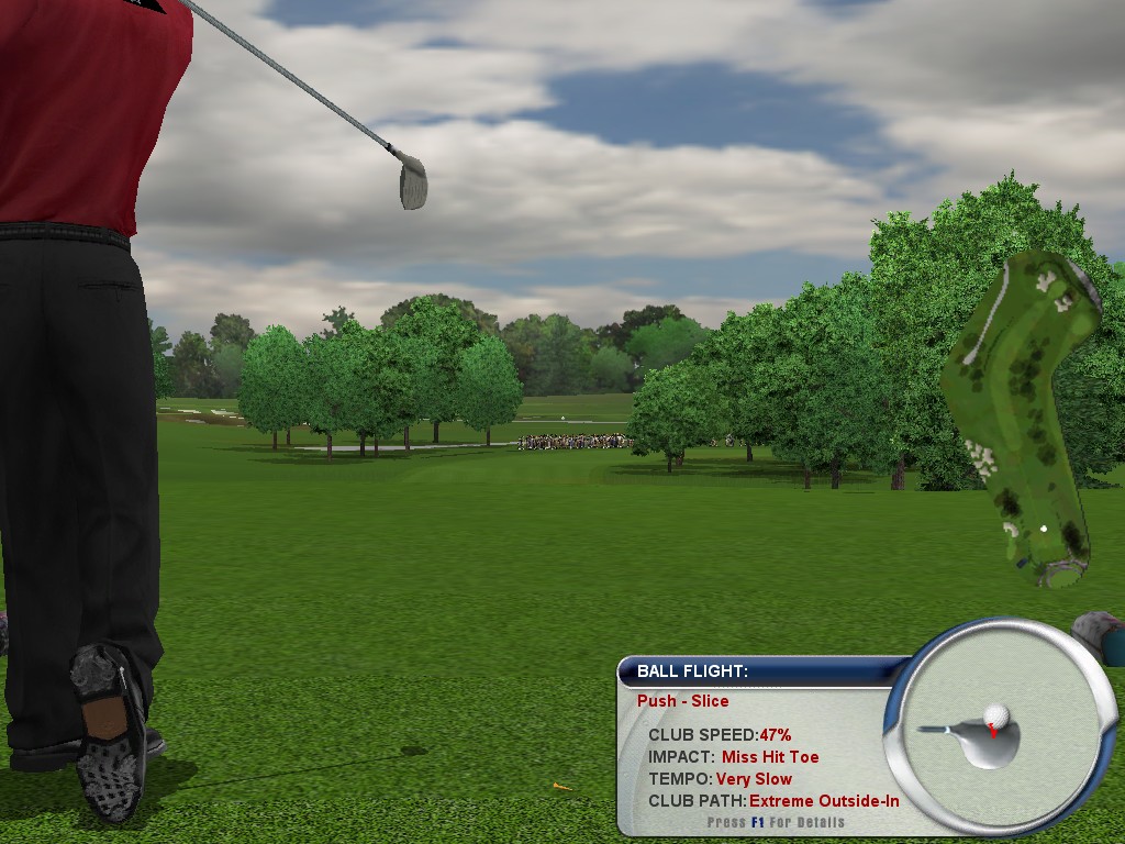 TIGER WOODS PGA TOUR 2004