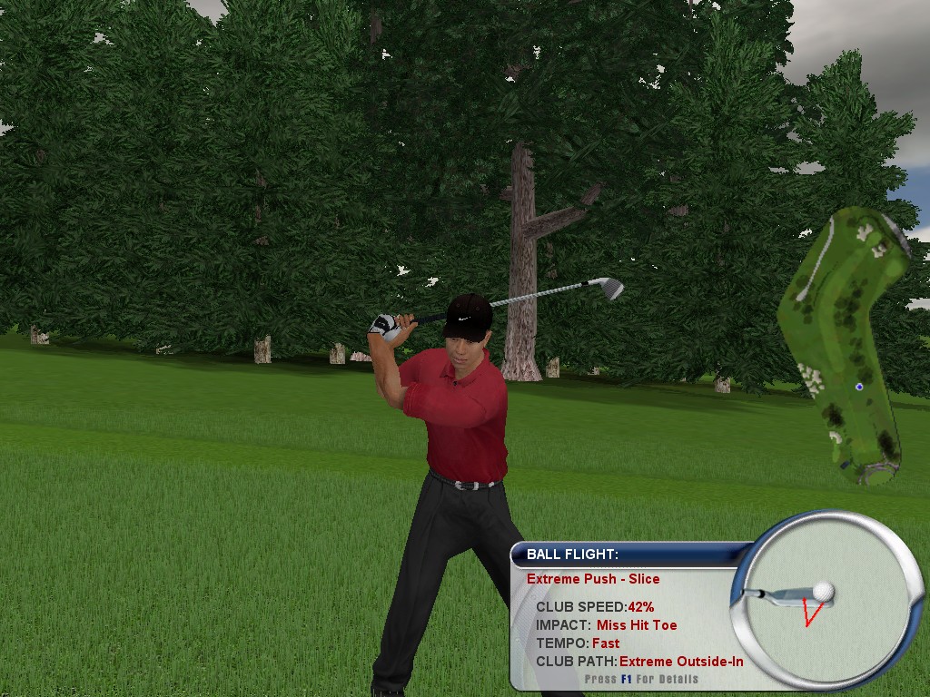 TIGER WOODS PGA TOUR 2004